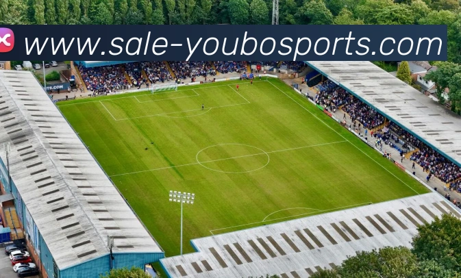 友博体育平台生态图